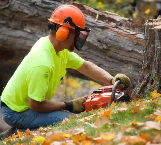 tree services Villas